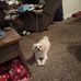 Martha Slade - Facebook