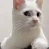 Martha Smart - @martha.smart0 - TikTok