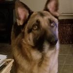 Martha Snider - @snider9378 - Instagram