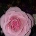 Martha Spear - Facebook