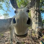 Martha Speed Walker - @marthawalker3716 - Instagram