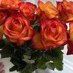 Martha Spitaler - @speedy67_martha - Instagram
