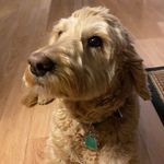 Martha Squires - @mjpepinsquires15 - Instagram
