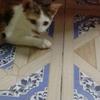Martha Starr - @marthastarr223 - TikTok
