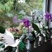 Martha Strauss - Facebook