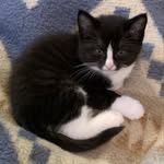 Martha Strawn Morris - @marthapdx - Instagram