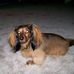 Martha Talbert - Facebook