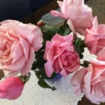 Martha Talbott - @talbott9624 - Instagram