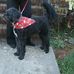 Martha Teague - Facebook