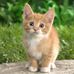 Martha Teague - Facebook