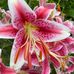 Martha Teague - Facebook