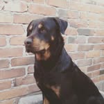 Martha Tello - @martha_tello_chavez - Instagram