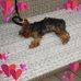 Martha Templeton - Facebook