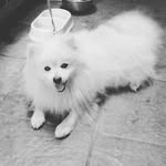 marthatheodores - @marthatheo1751 - Instagram