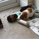 @theodore_martha__jess - Instagram