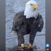 Martha Thorpe - Facebook