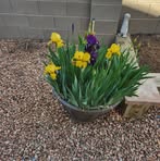 Martha Thrasher - Facebook