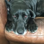 Martha Thrasher Jones - @marthathrasherjones - Instagram
