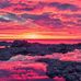 Martha Tracey - Facebook