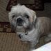 Martha Umberger - Facebook