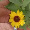 Martha Eliza Urueta - @marthaelizaurueta - TikTok