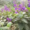 marthavalverde42 - @martha.valverde2 - TikTok