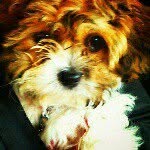 Martha Vaughan - @marthavaughan33 - Instagram