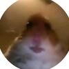 marthavaughan - @_siho - TikTok