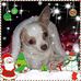 Marthav Vick - Facebook