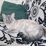 Martha Vielma - @tica_vielma - Instagram