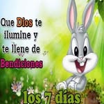 Martha Virgen Mercedes - @marthavirgenmercedes - Instagram