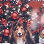 Martha Wellman - Facebook