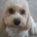 Martha Whelan - Facebook