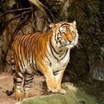 Martha Wick - @martha.wick.9231 - Instagram
