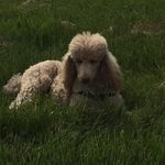Martha Wick - @martha_nature63 - Instagram