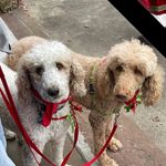 Martha Wick - @wick.martha - Instagram