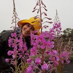 Martha Wilhelmine - @marthawilhelmine - Instagram