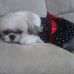 Martha Winstead - Facebook