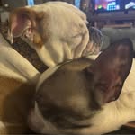 Martha J. Widdows-Witham - @mwiddowswitham - Instagram