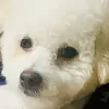 marthaayalawork - @martha_965 - TikTok