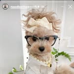 Martha Wyman - @baxteratthebeach - Instagram