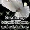 Martha yanes - @martha.yanes7 - TikTok