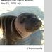 Martha Yeager - Facebook