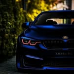 marthinus joubert@ - @marthinusjoubert450 - Instagram