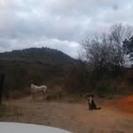 Marthinus Joubert - @grootseunjoubert - Instagram
