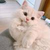Allen Martirallenmartiroy096 - @allen.martirallen - TikTok