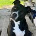 Marti Davis - Facebook