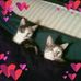 Marti Graham - Facebook