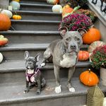 Marti & Mason - @martiandmason - Instagram