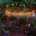 Marti Morris - @marti.morris.714 - Instagram